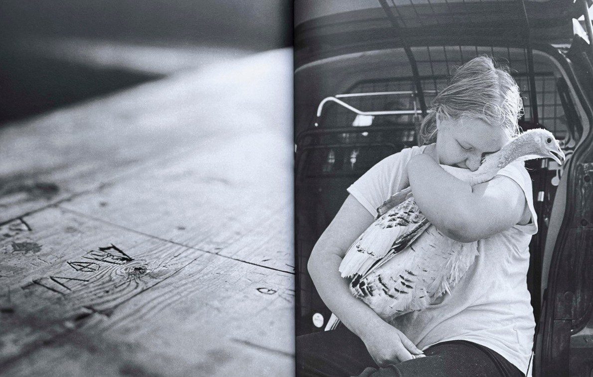 Книга «Gertrud» Мэй Дэниелс (Maja Daniels). Private image