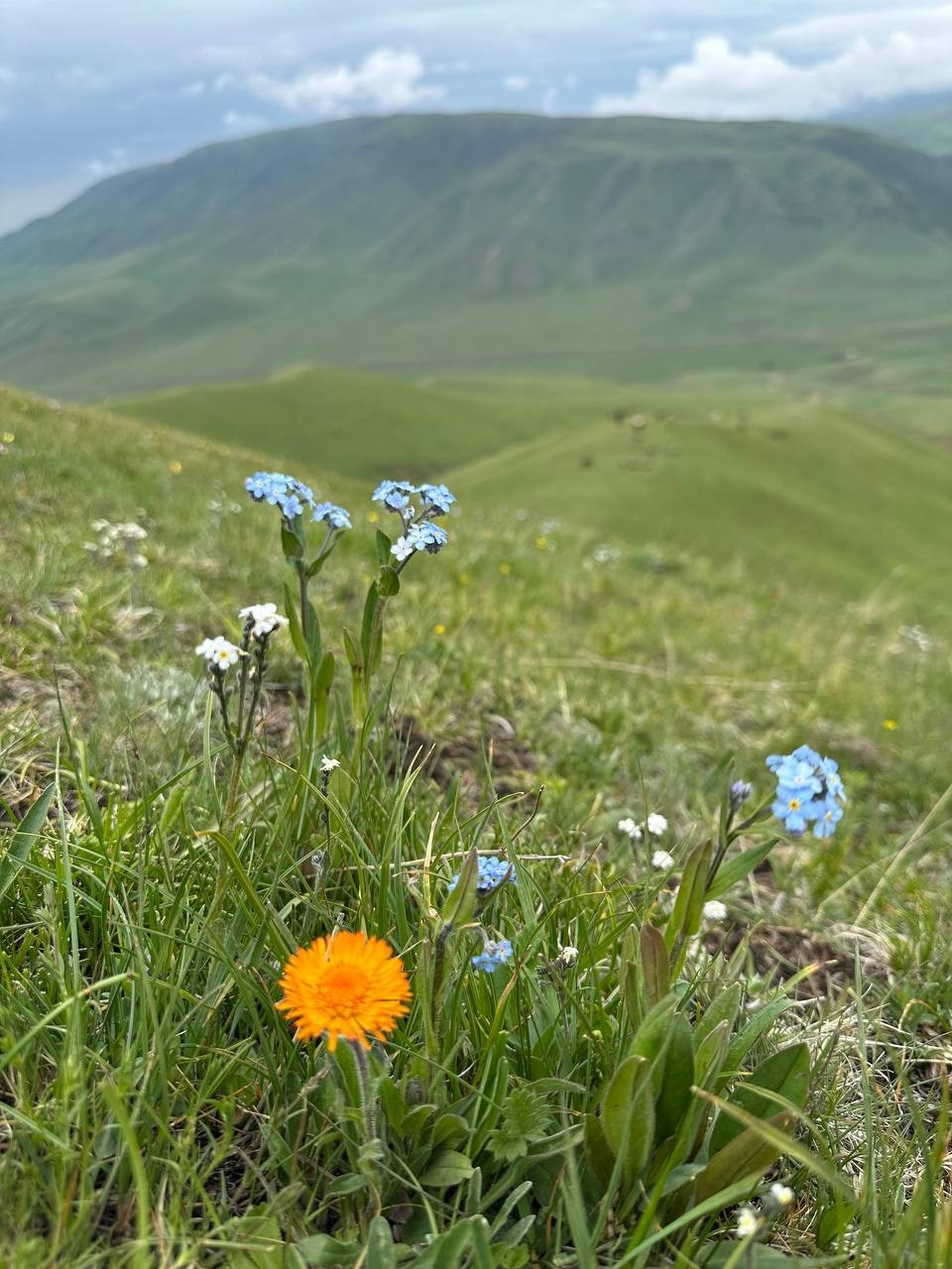 Экскурсия на плато Ассы из Алматы