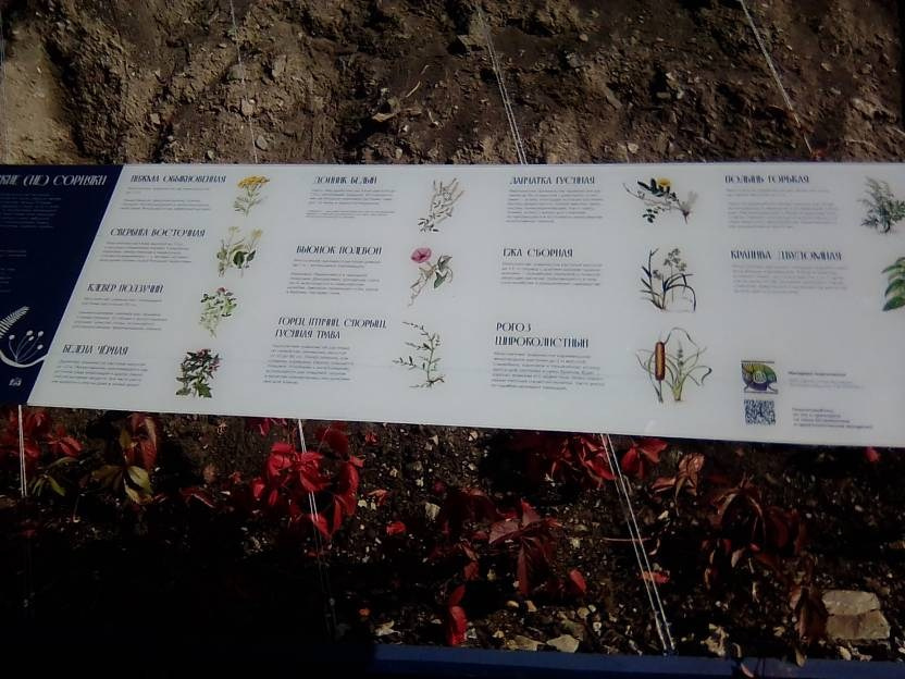 ВНИМАНИЕ! ФЕСТИВАЛЬ ЛАНДШАФТНОГО СТРОИТЕЛЬСТВА. 俄罗斯设计估算