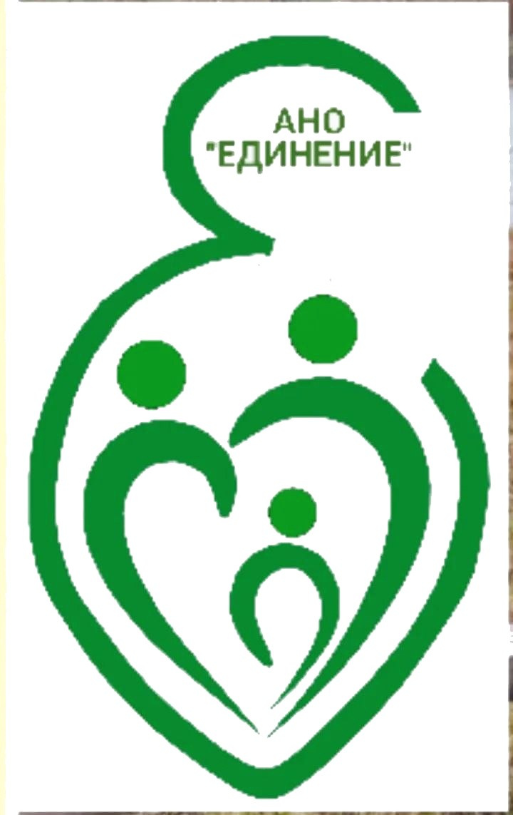 АНО «Центра социальных проектов «Путь в большой мир»