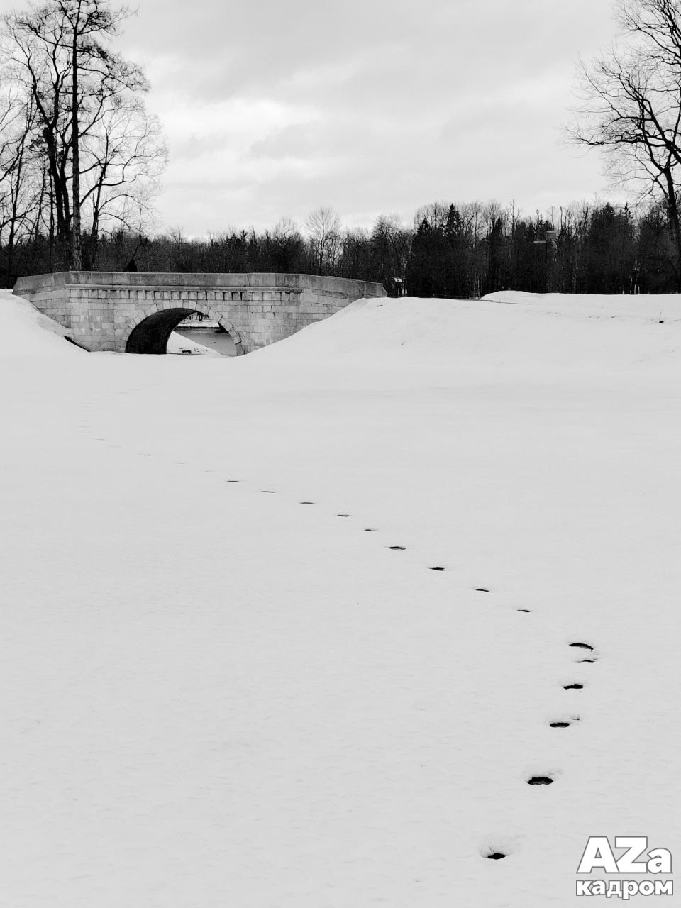 Дыхание весны. Фотоклуб AZакадром. Женский семейный фотограф Тула Москва Захарова Анна