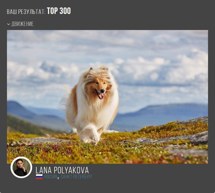 Подведены итоги конкурса 5TH 35AWARDS. ФОТОГРАФ-АНИМАЛИСТ l LANA POLYAKOVA