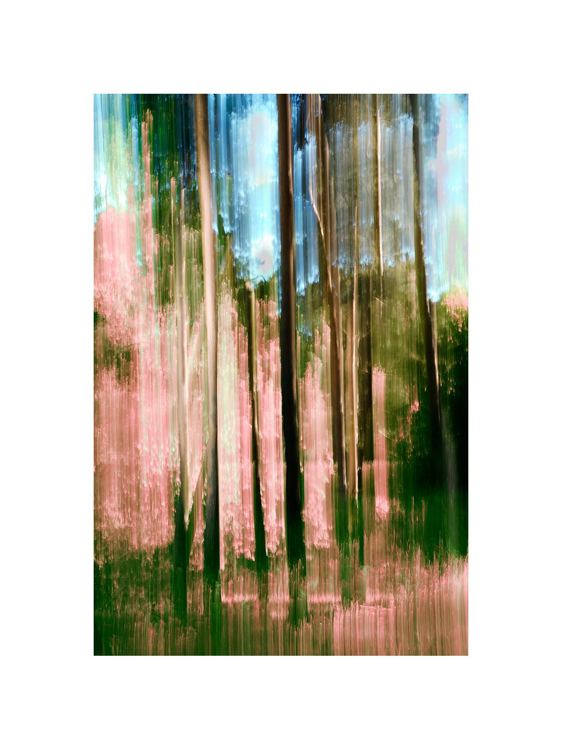 Walks in the Forest. Vasiliy Riabovol — Fine Art Photographer | Time, Space, and Silence