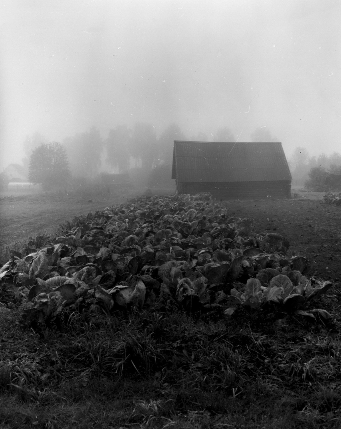 Badland. Valerii Konkov