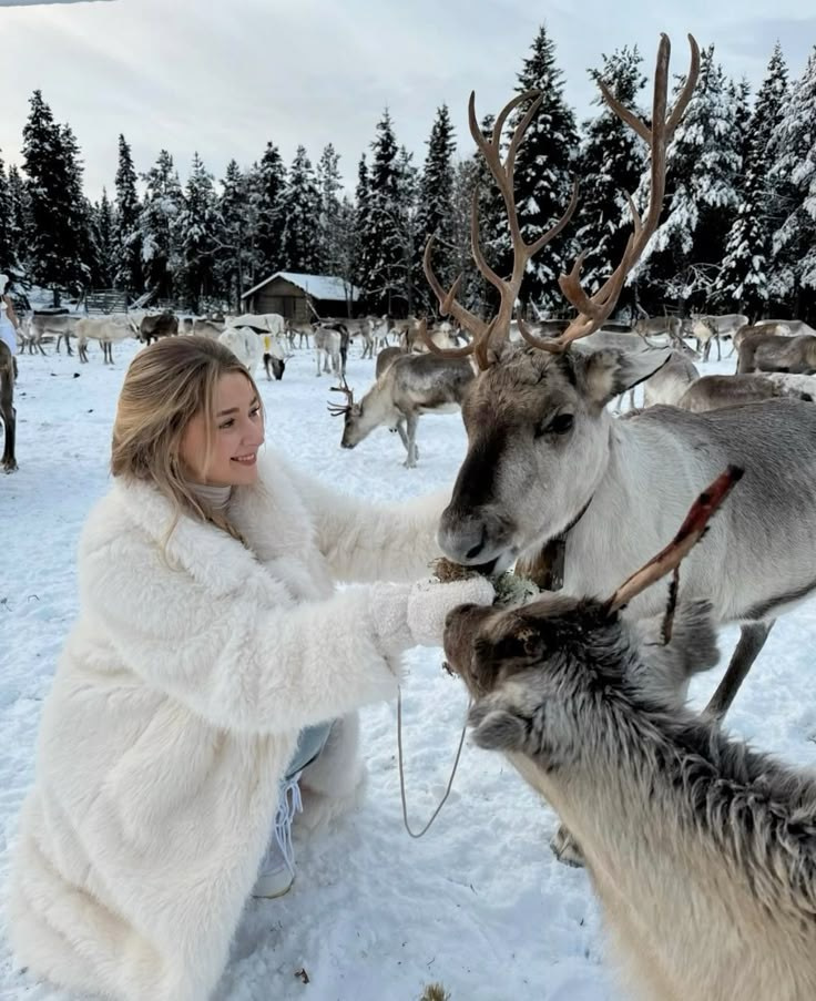 ПРАЙС НА ФОТОРЕПОРТАЖ ТУРЫ ВЫХОДНОГО ДНЯ