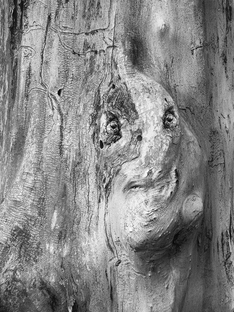 Projects. Landscape Photography by Aleksandr Leshchenok