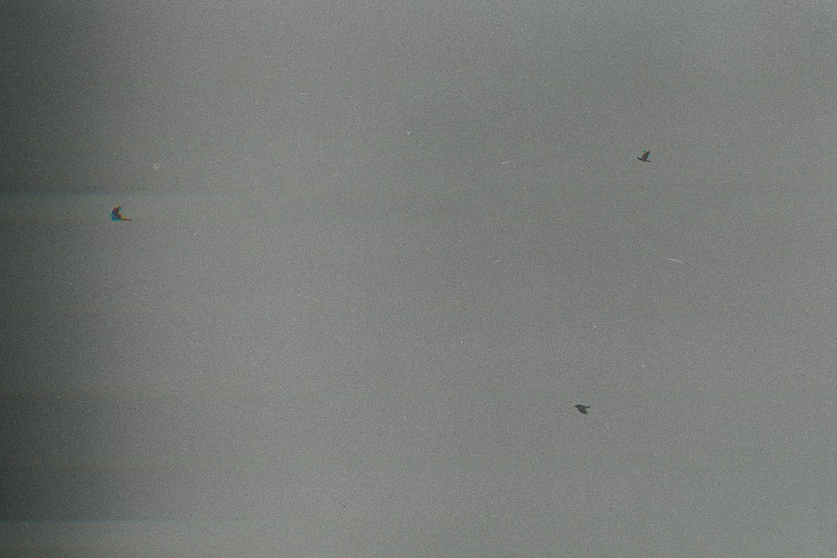 Несущественные детали. Иван Кобяков