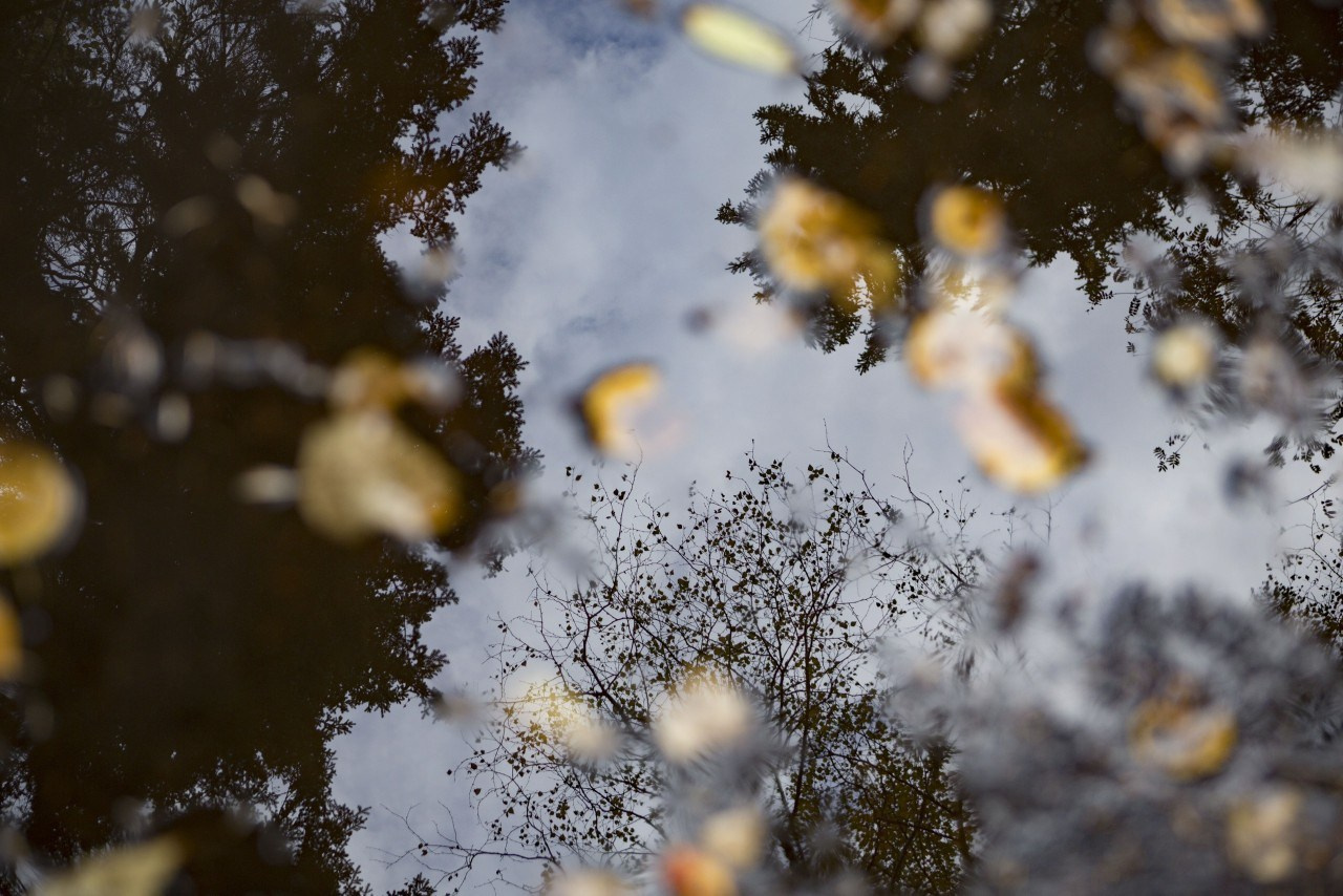 Путешествия говорят. Портретный женский фотограф в Москве Наталия Глазова