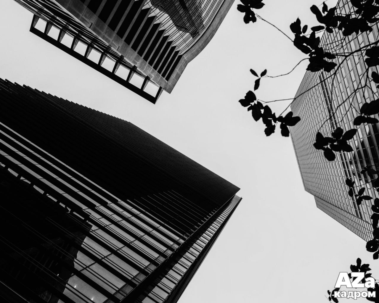 AZакадром Нижняя точка съемки. Женский семейный фотограф Тула Москва Захарова Анна