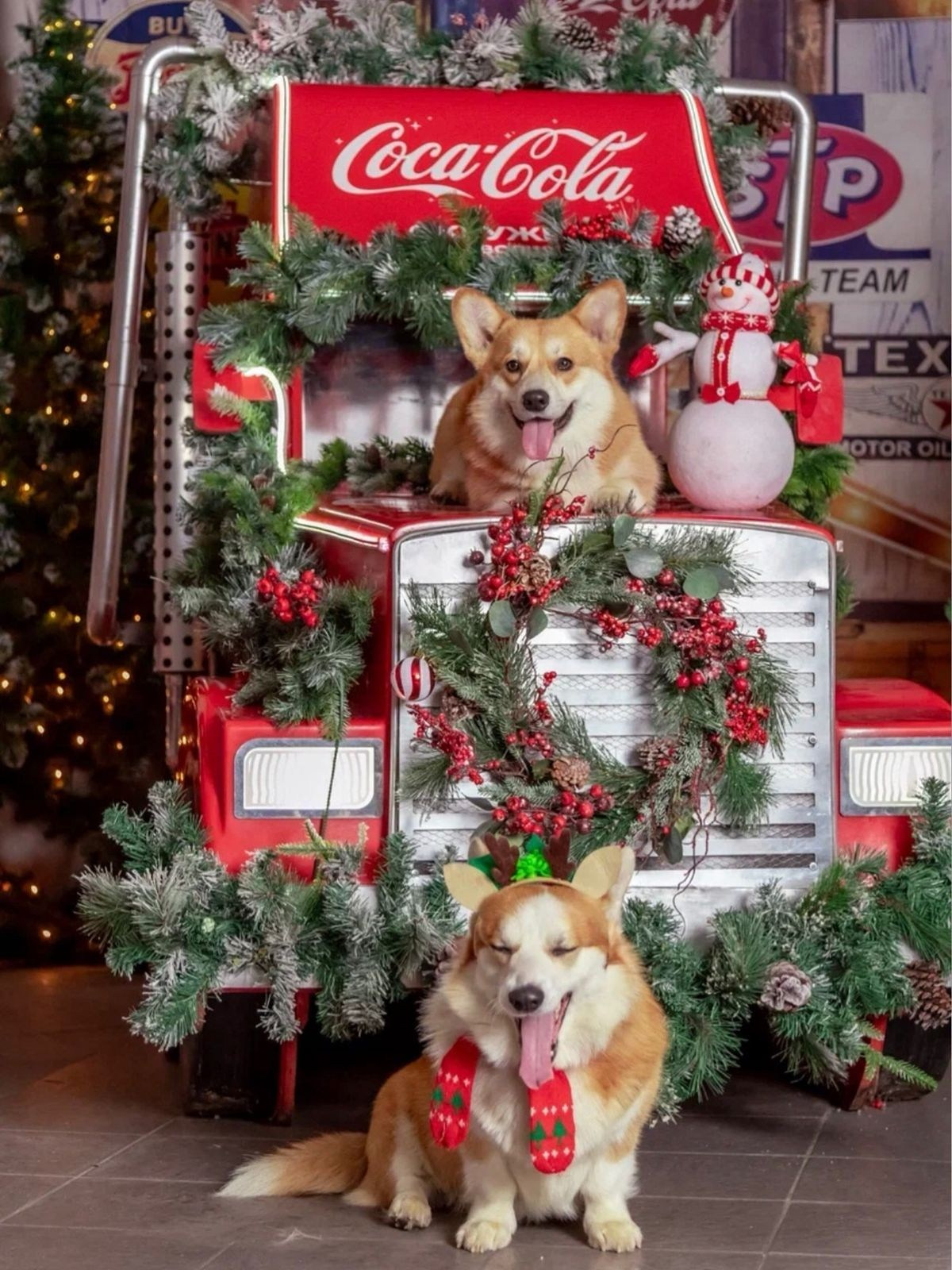 Как выбрать студию для новогодней фотосессии | Фотограф Карасёва Елена — Москва и МО