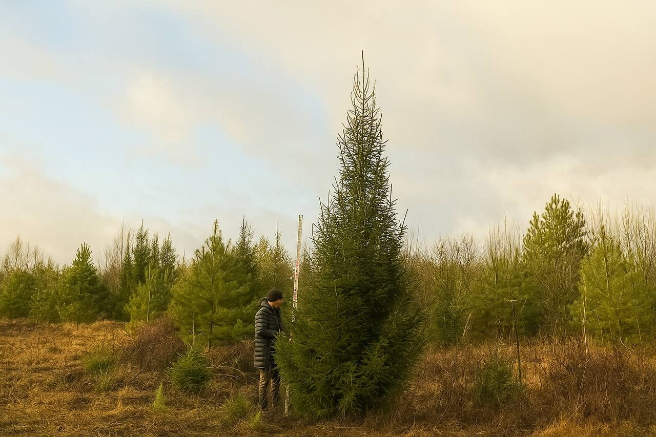 Крупномеры РФ