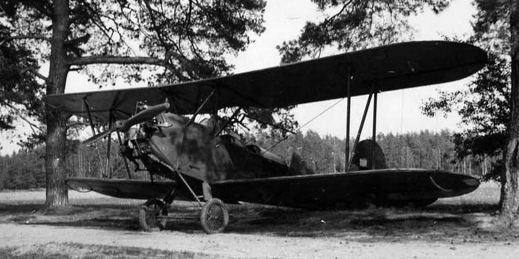 Они летали на У-2. История Назиевского городского поселения