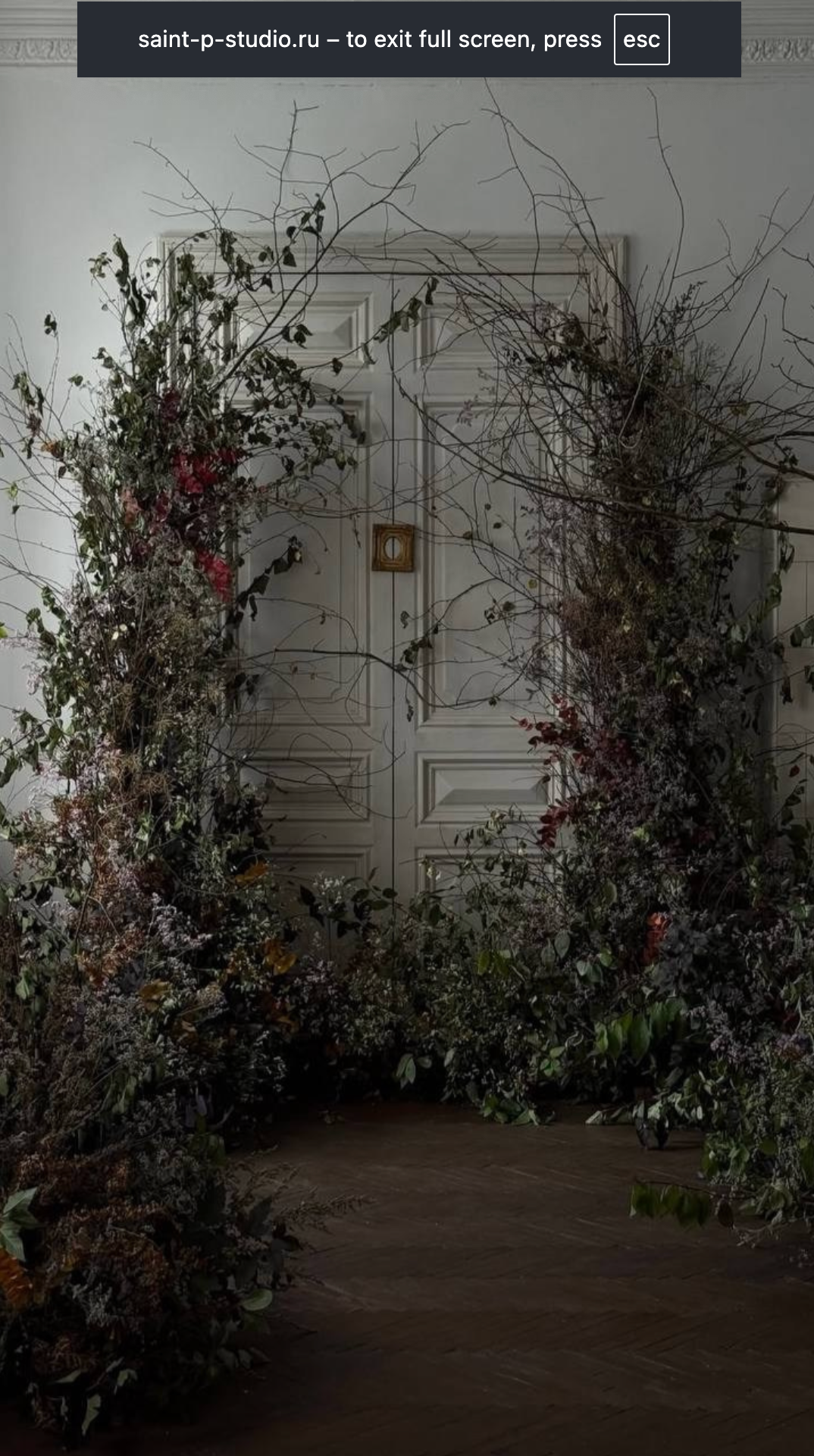 Подборка фотостудий в Санкт-Петербурге. Пленочный фотограф в Санкт-Петербурге Ксения Давыдова