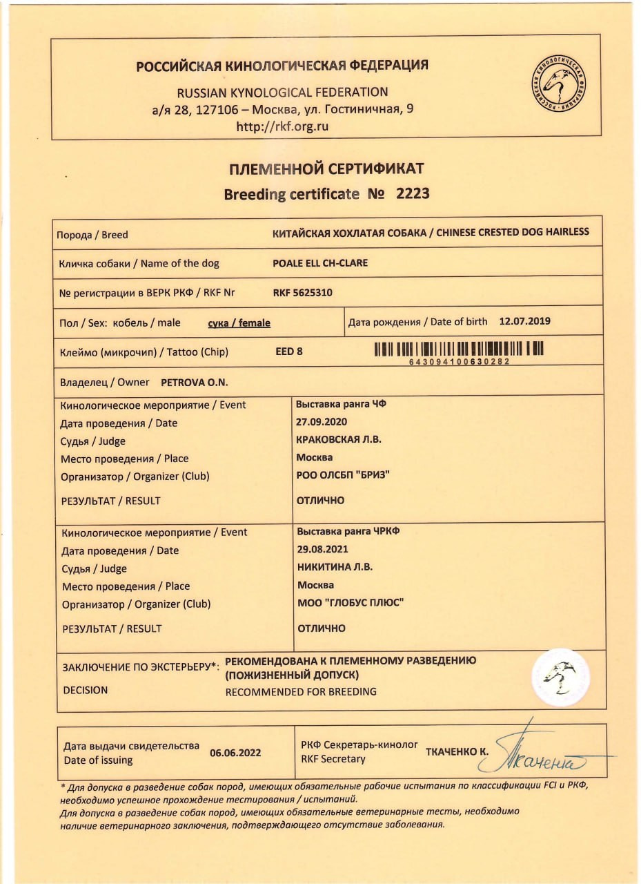 Poale Ell Clare. Chinese Crested Dog Kennel Poale Ell