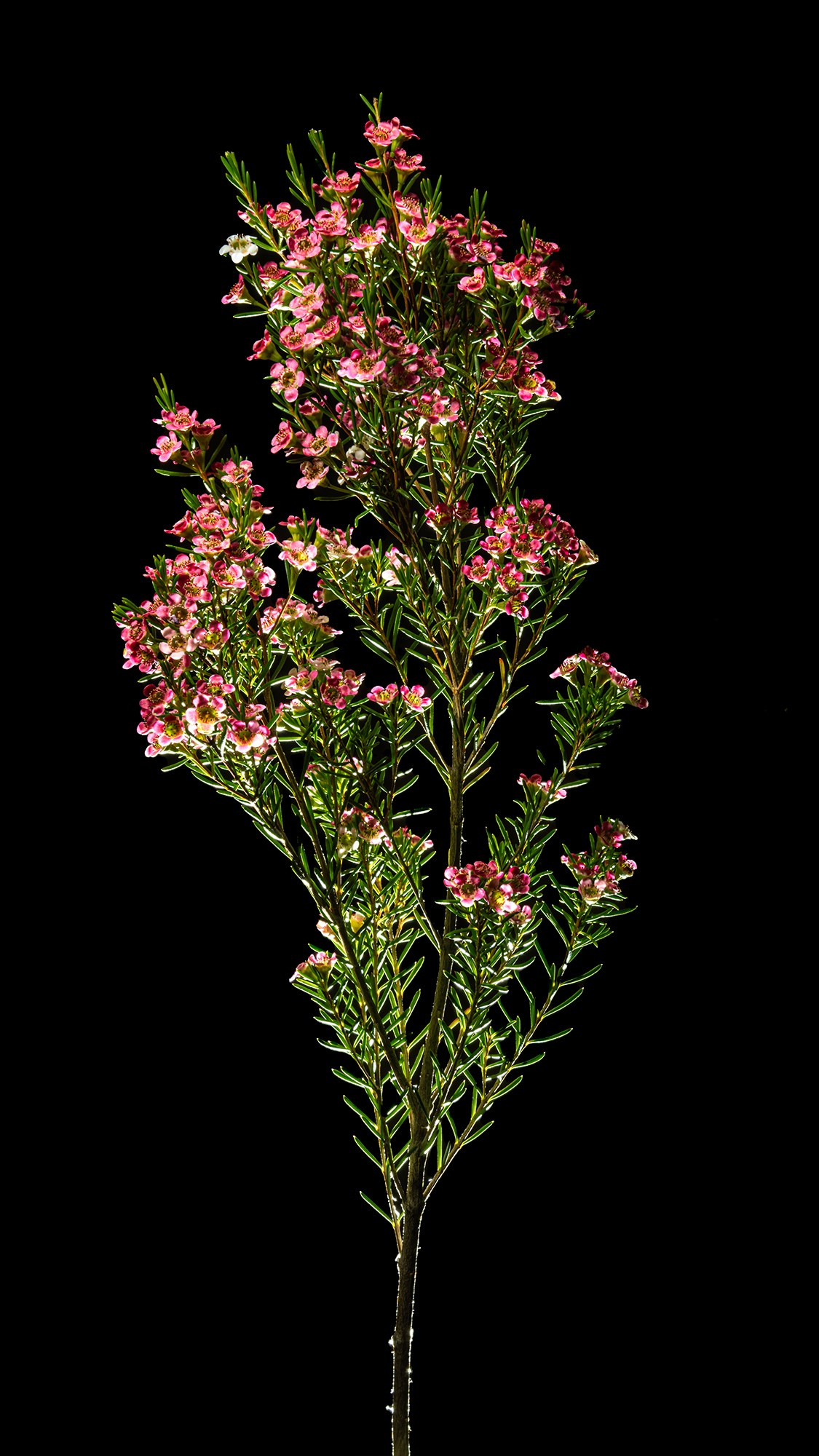 Проекты. Sakunov Photo