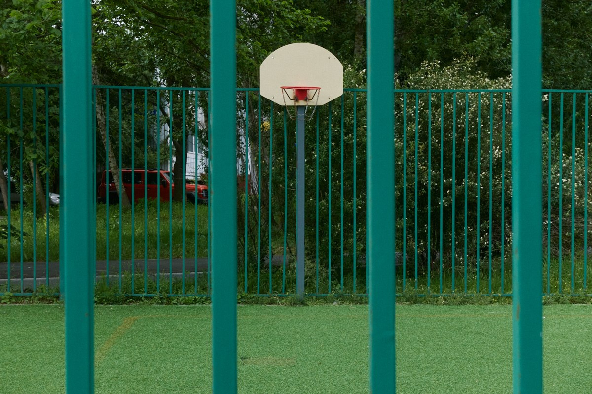 Сезон цветения полыни. Иван Кобяков