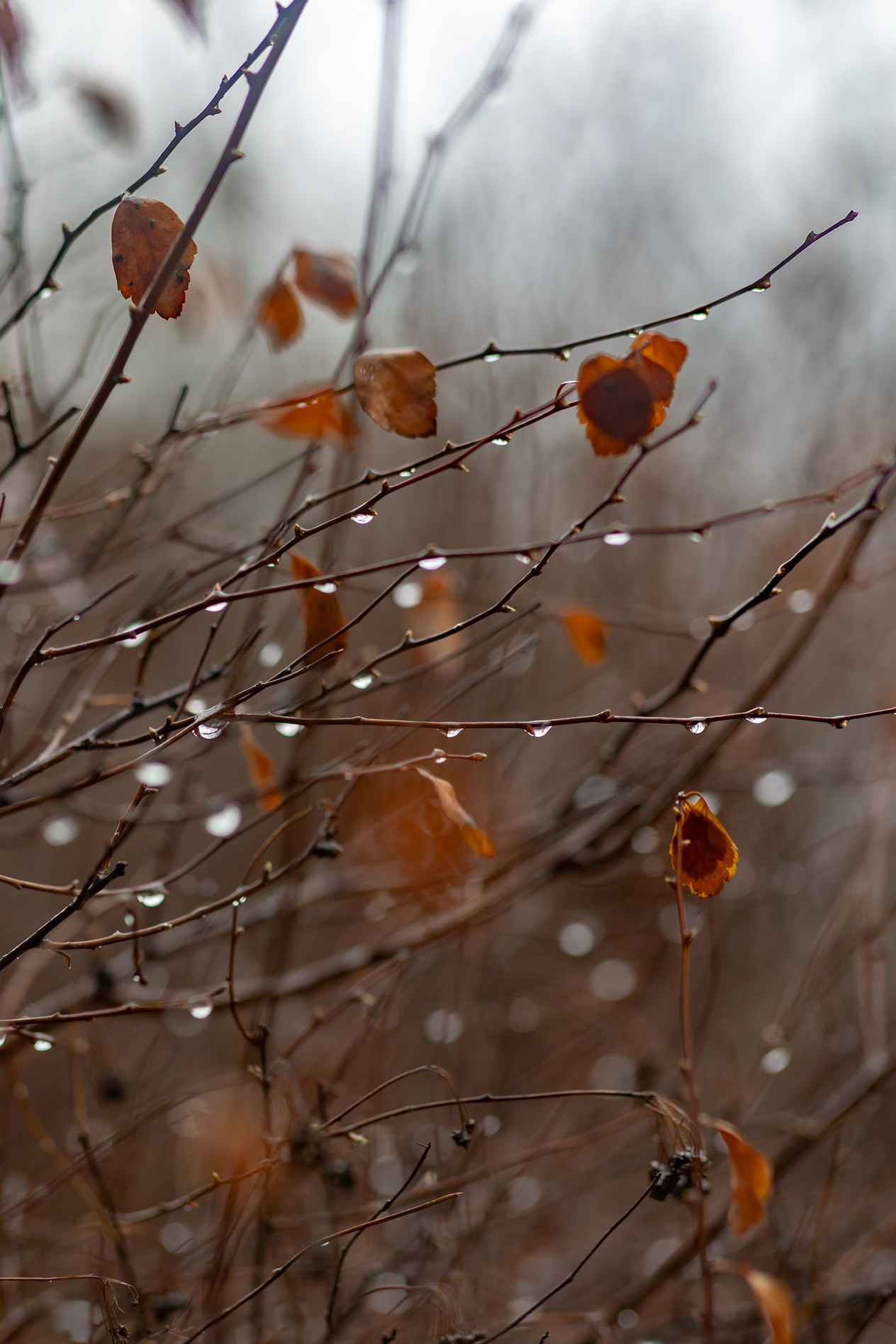 22.03.24 В память об этом дне…. Семейный и детский фотограф |Брянск| Анастасия Перепелкина