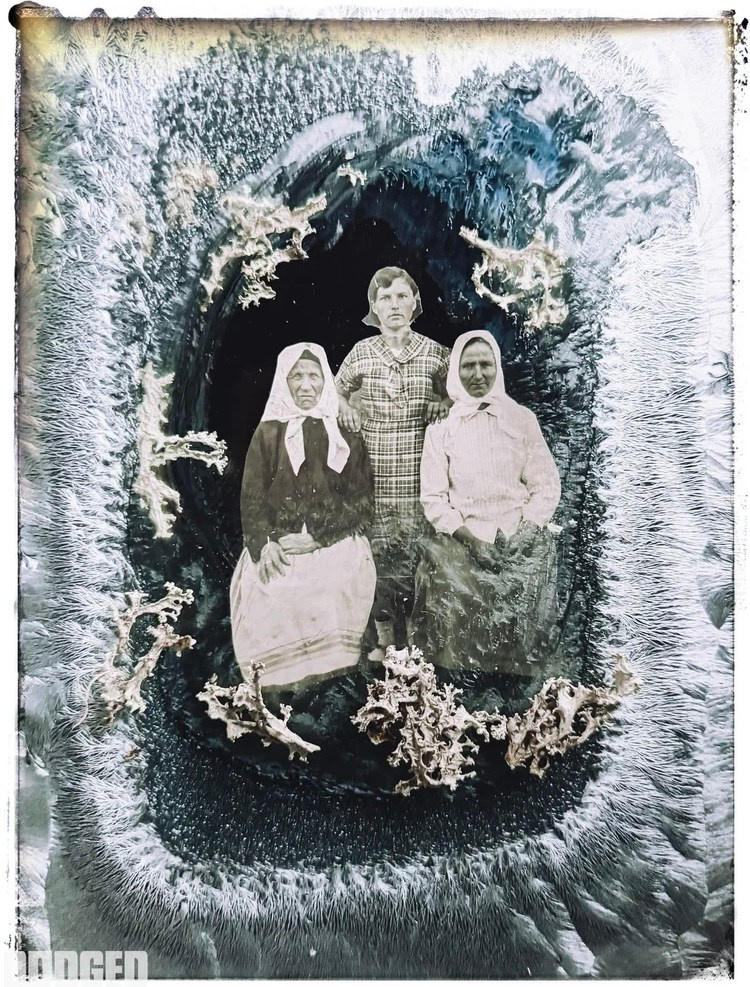 Семейный фотограф в Москве Марина Аргунова