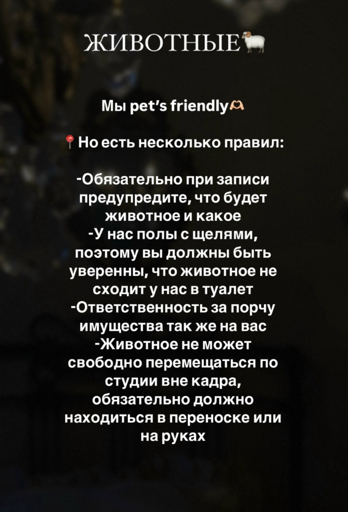 ЛЕС (скв. Карла Маркса). Семейный и детский фотограф |Брянск| Анастасия Перепелкина