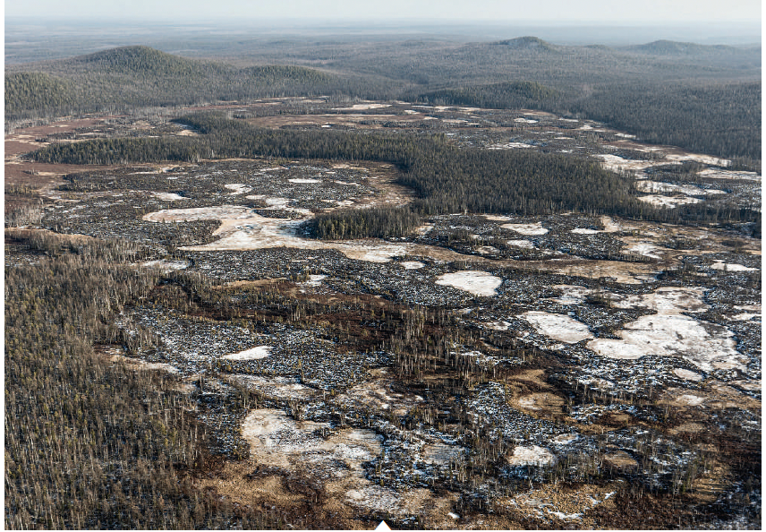 The Tunguska phenomenon for Sciences Et Avenir