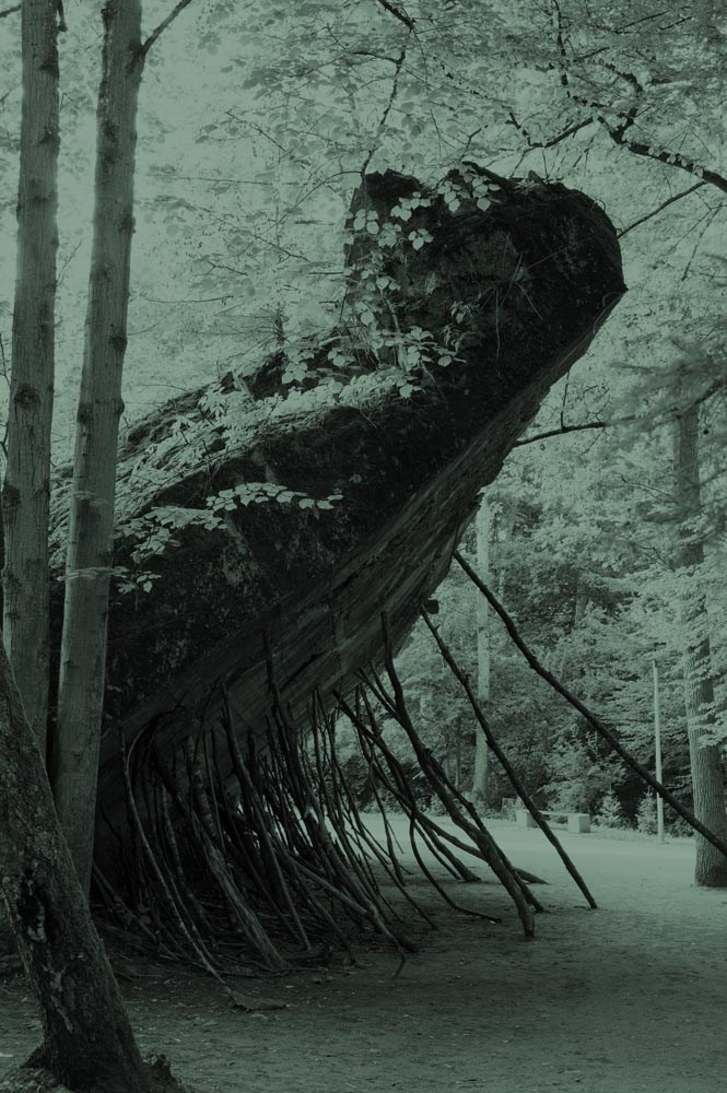 Книга «Dear parents, please send me bacon and Pervitin» художницы Уши Гроос. Private image