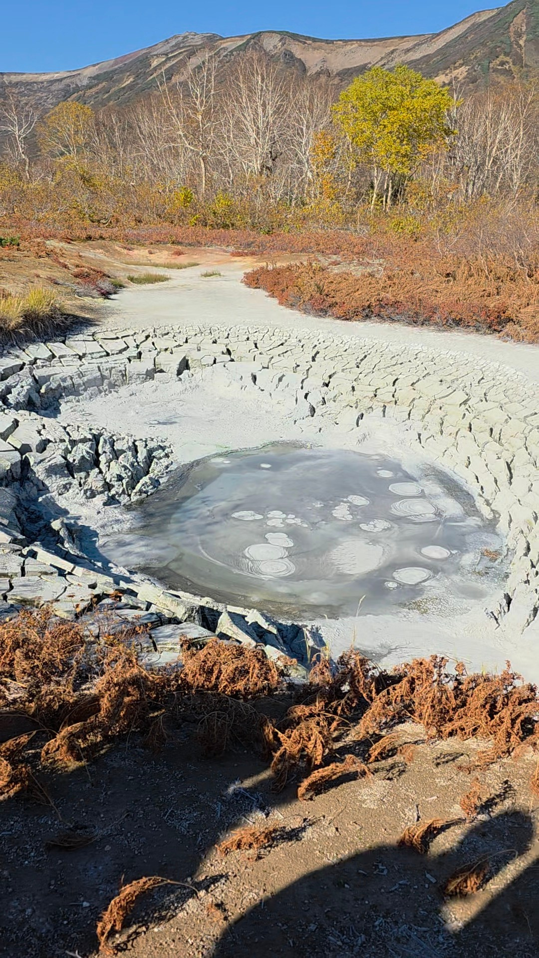 Вертолетная экскурсия в Долину гейзеров, кальдеру вулкана Узон и Налычевские горячие источники. Экскурсионные туры по Камчатке