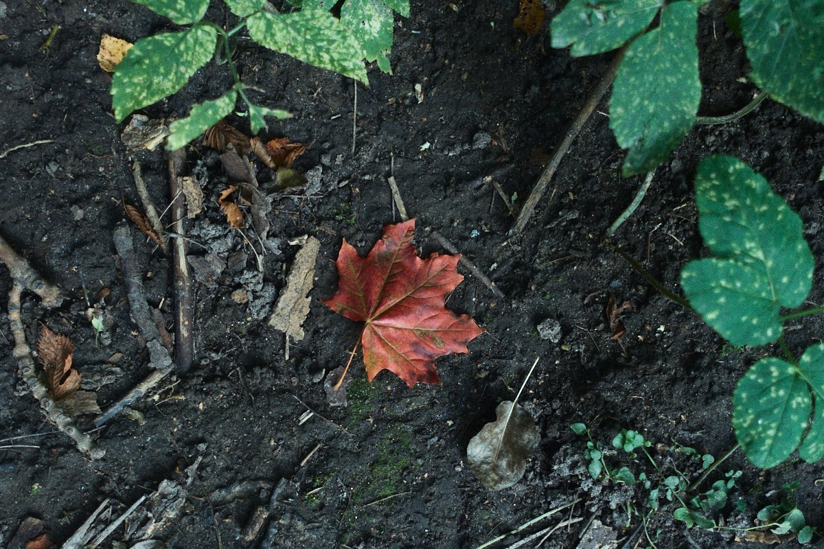 8-9/25. Иван Кобяков