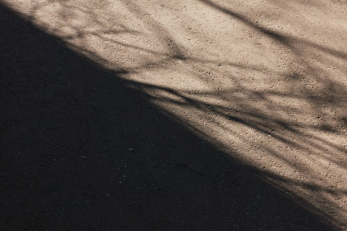 Дневной Сон. Иван Кобяков