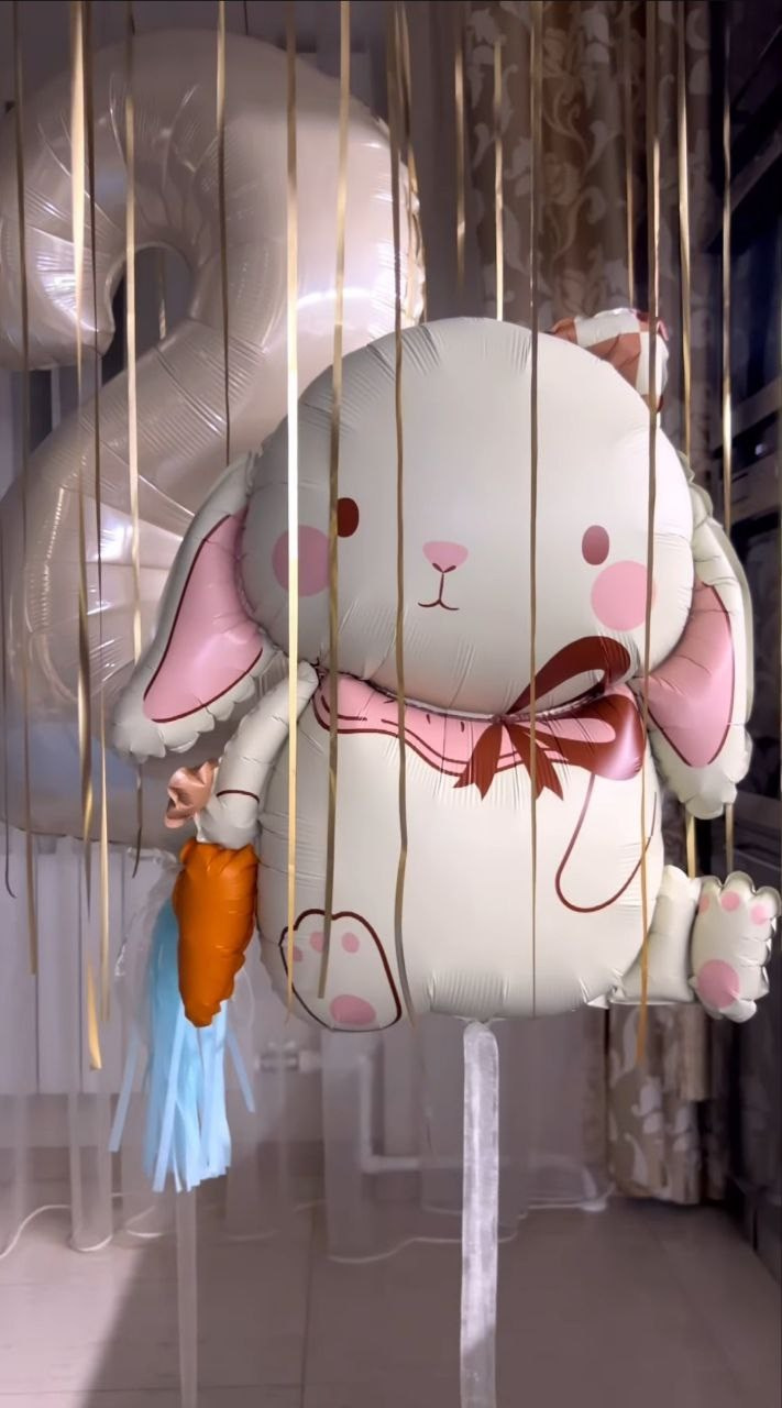 Fo Girls. Balloons and decorations in Serbia. Delivery 24/7