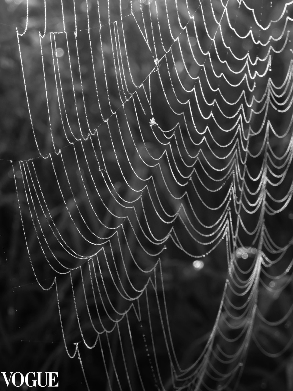 Марина Горбатова. Фотограф