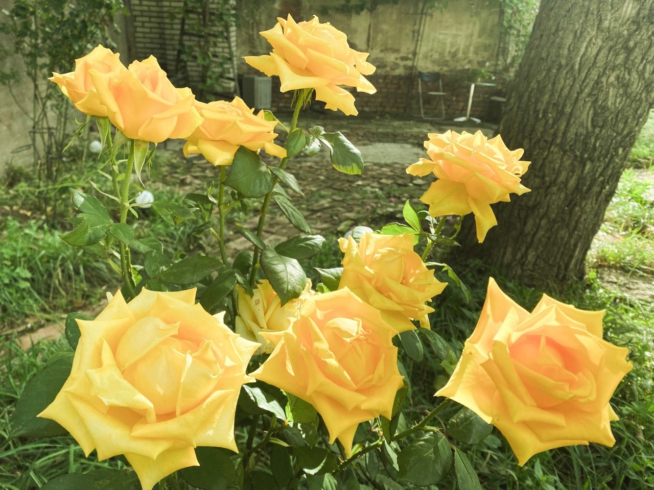 Новости. Дом Шрёдера