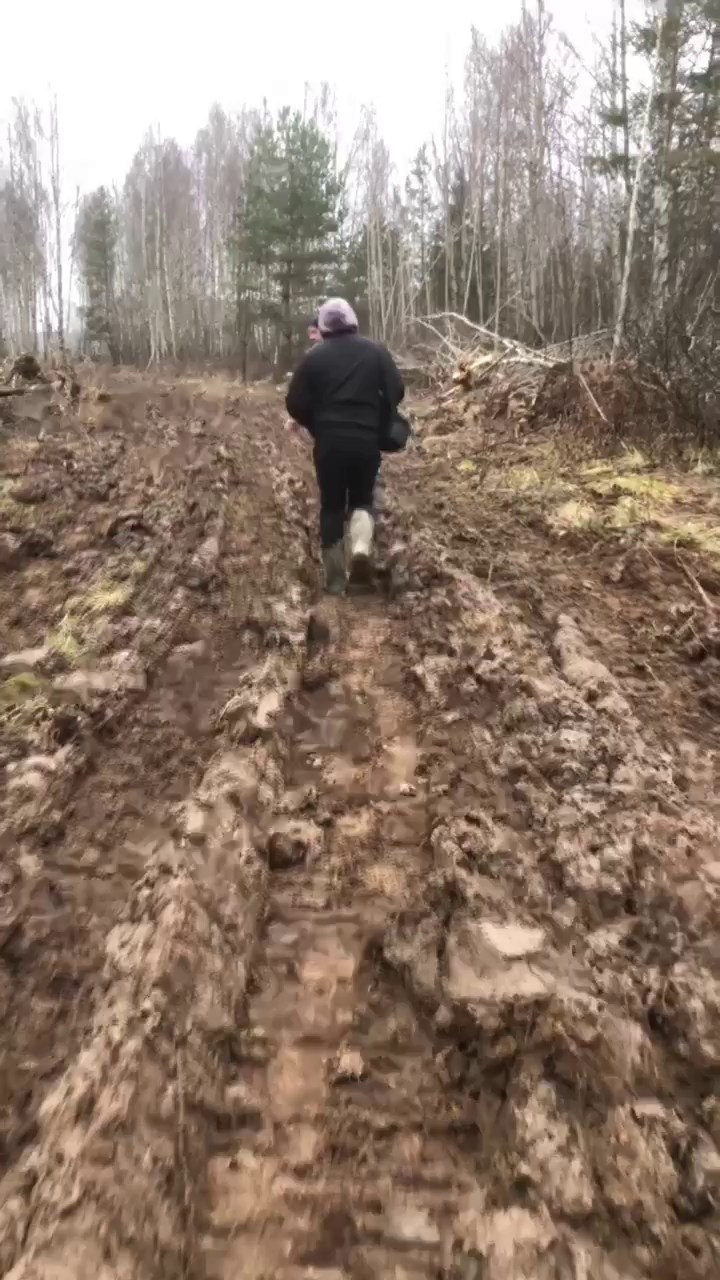 Эко-парк. DRONBERRY — Аэросъемка Ярославль