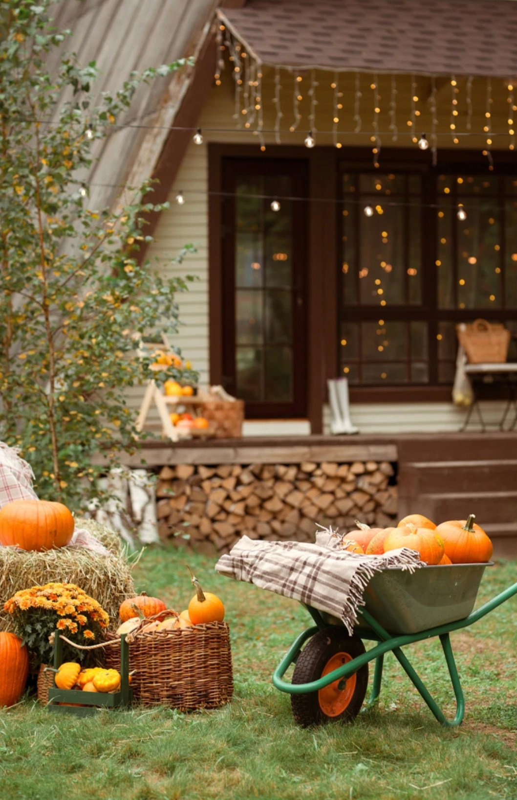 ТОП загородных фотостудии для фотосессий. Свадебный и семейный фотограф Москва и Московская область