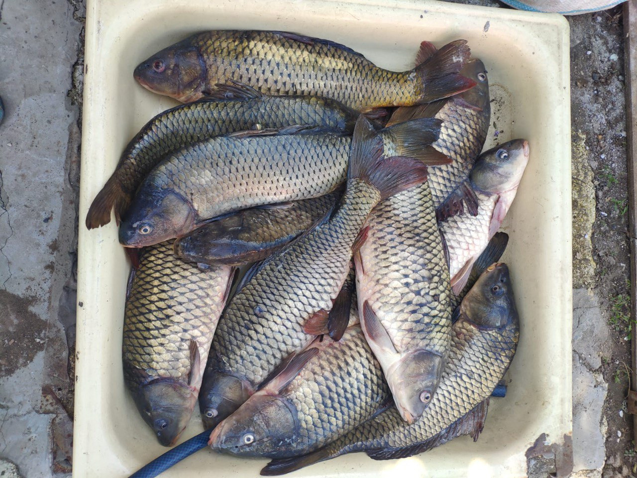 «Кумовка» база отдыха на Дону