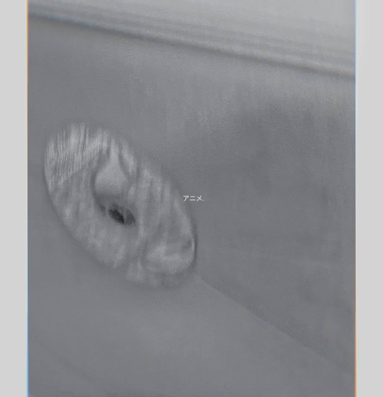 Марафон креативной фотографии. Vladimir Borele Photographer