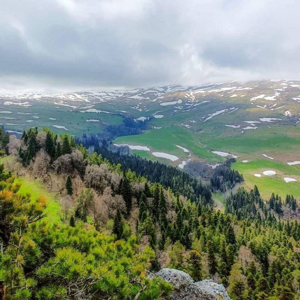 Эко Туризм Камышанова поляна. Инвестиционный консалтинг Недвижимость