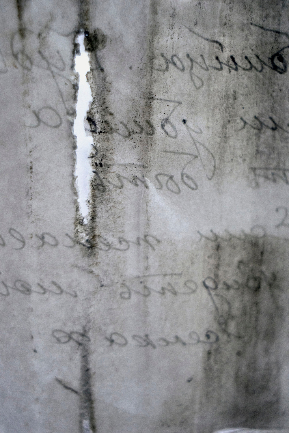 In Search of Anna. Aliaksandra Svirelina