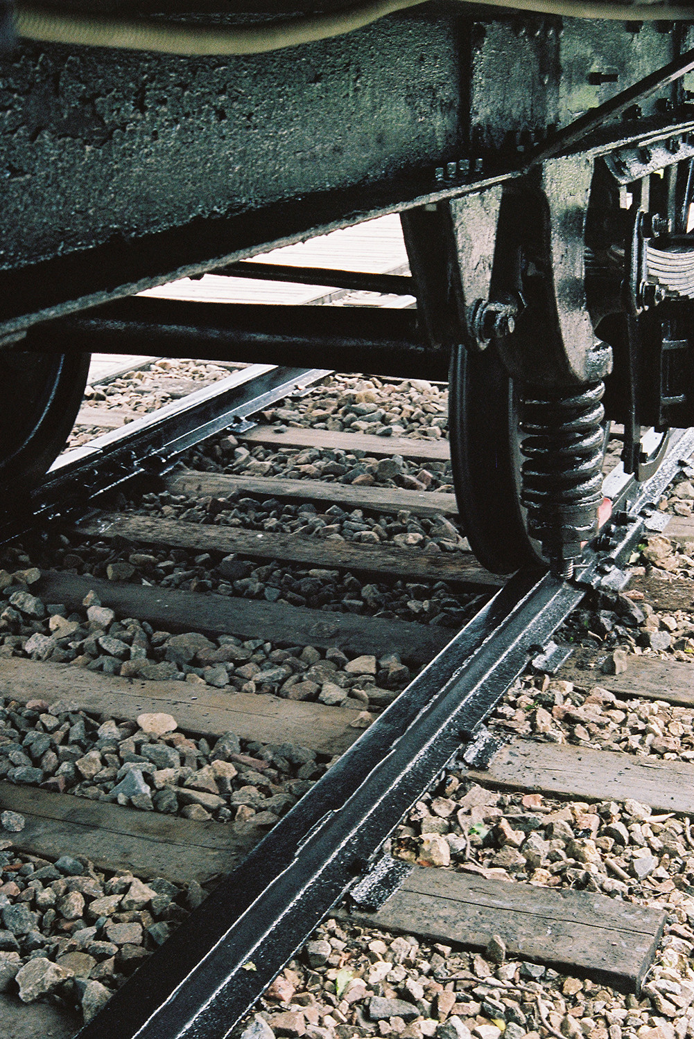 In Search of Anna. Aliaksandra Svirelina