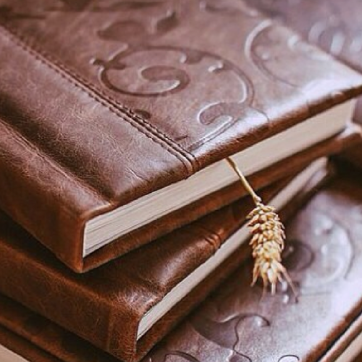 ФОТОКНИГИ. Детский и семейный фотограф выпускной альбом Приморско-Ахтарск