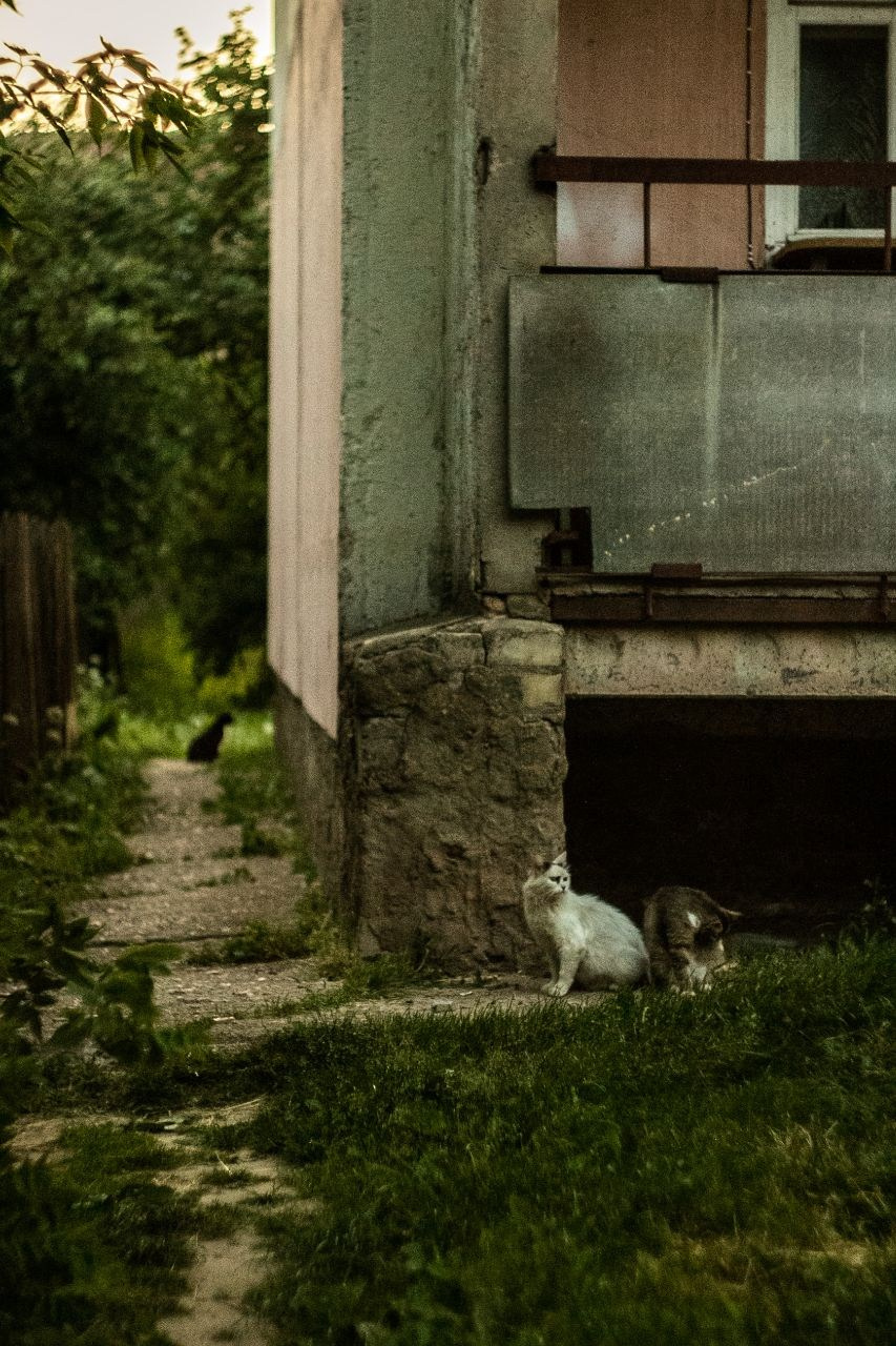 Фото моих студентов: Вступление. Фотограф Cyberkyrie