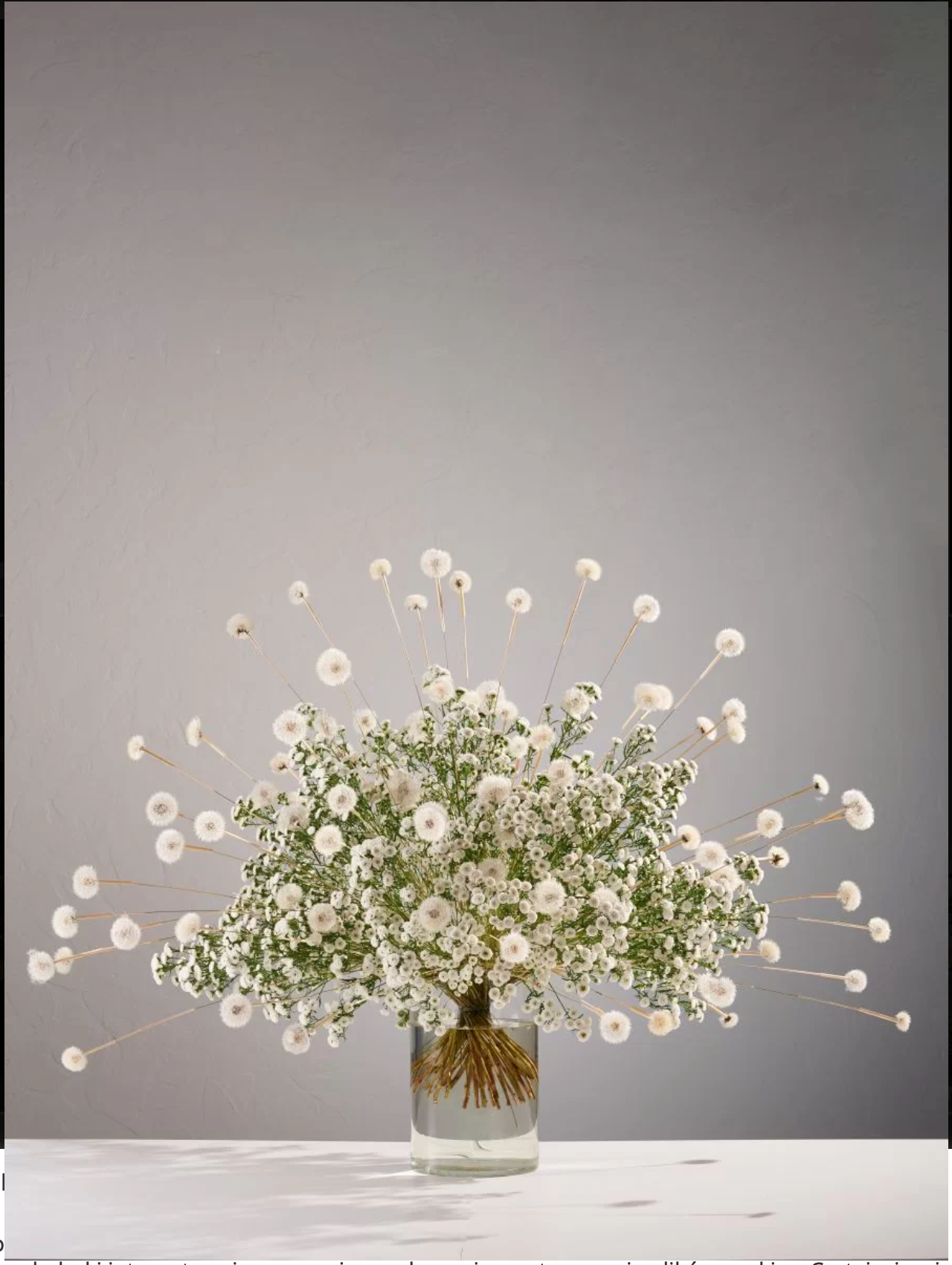 FROM RUSSIA WITH LOVE — FLORAL FUNDAMENTALS. Maria Poleshchuk, commercial photographer in Sydney