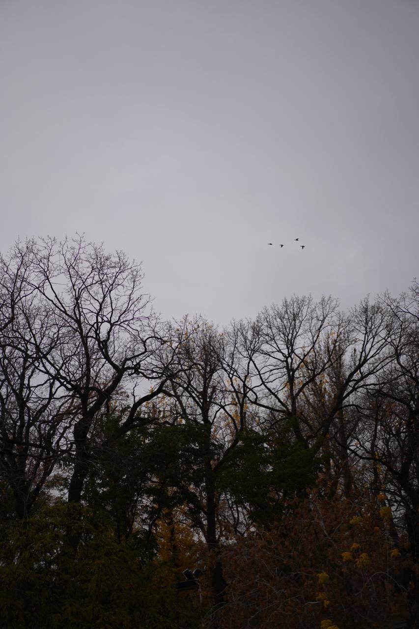 Кирпич Италии