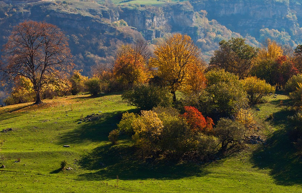 Осенняя Армения 2026 | Фотограф Дмитрий Купрацевич. Дмитрий Купрацевич профессиональный пейзажный и travel-фотограф