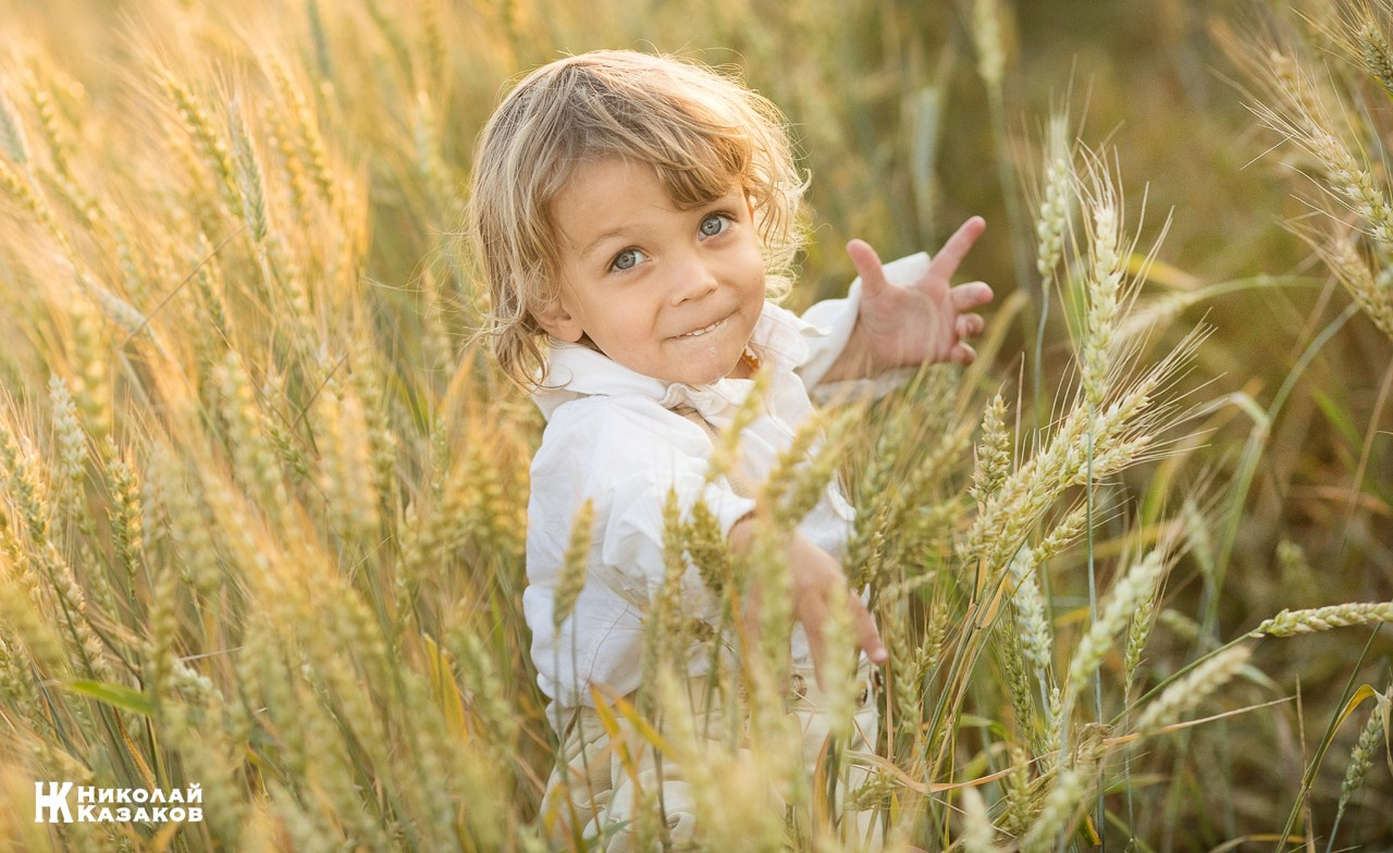 Позитивный портрет маленького мальчика с светлыми волосами в лучах заката, играющий в пшеничном поле во время фотосессии.