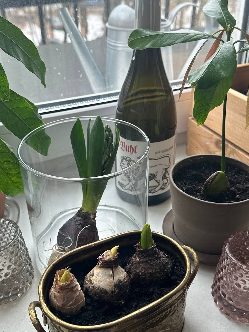 N2, Взгляд через вещи на историю семьи и страны. Портретный и репортажный фотограф Наталья Горобец