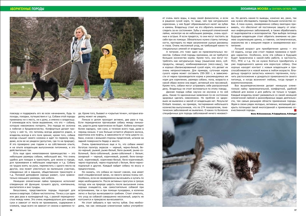 Моё фото на обложке журнала ЗооАфиша. Фотограф-анималист Natalia Deingel | Фотосъемка собак в Москве
