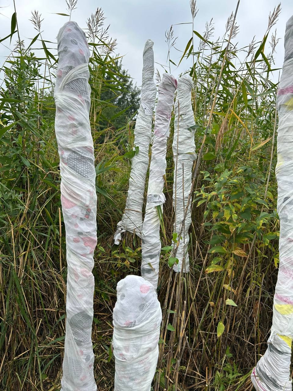 Красненькая биеннале. Санкт-Петербург. Лилия Ким. Междисциплинарный художник