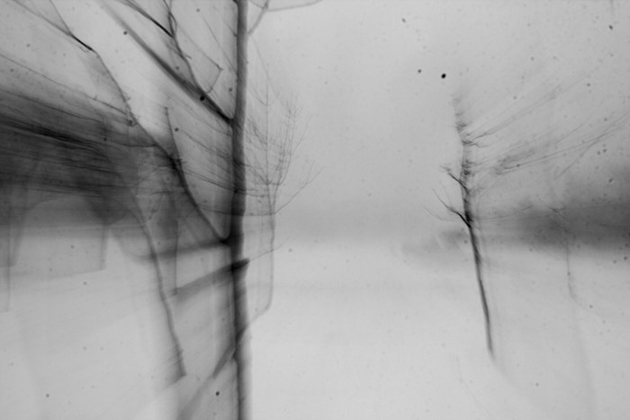 Archive ptoto projects. Янина болдырева Yanina Boldyreva