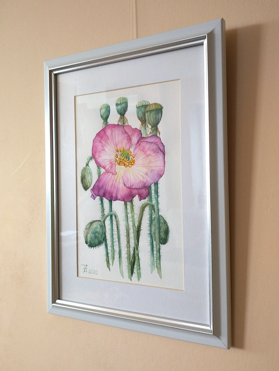 Фиолетовый мак. ФотоКисточка. Акварель. Арт-галерея картин Анастасии Дерий