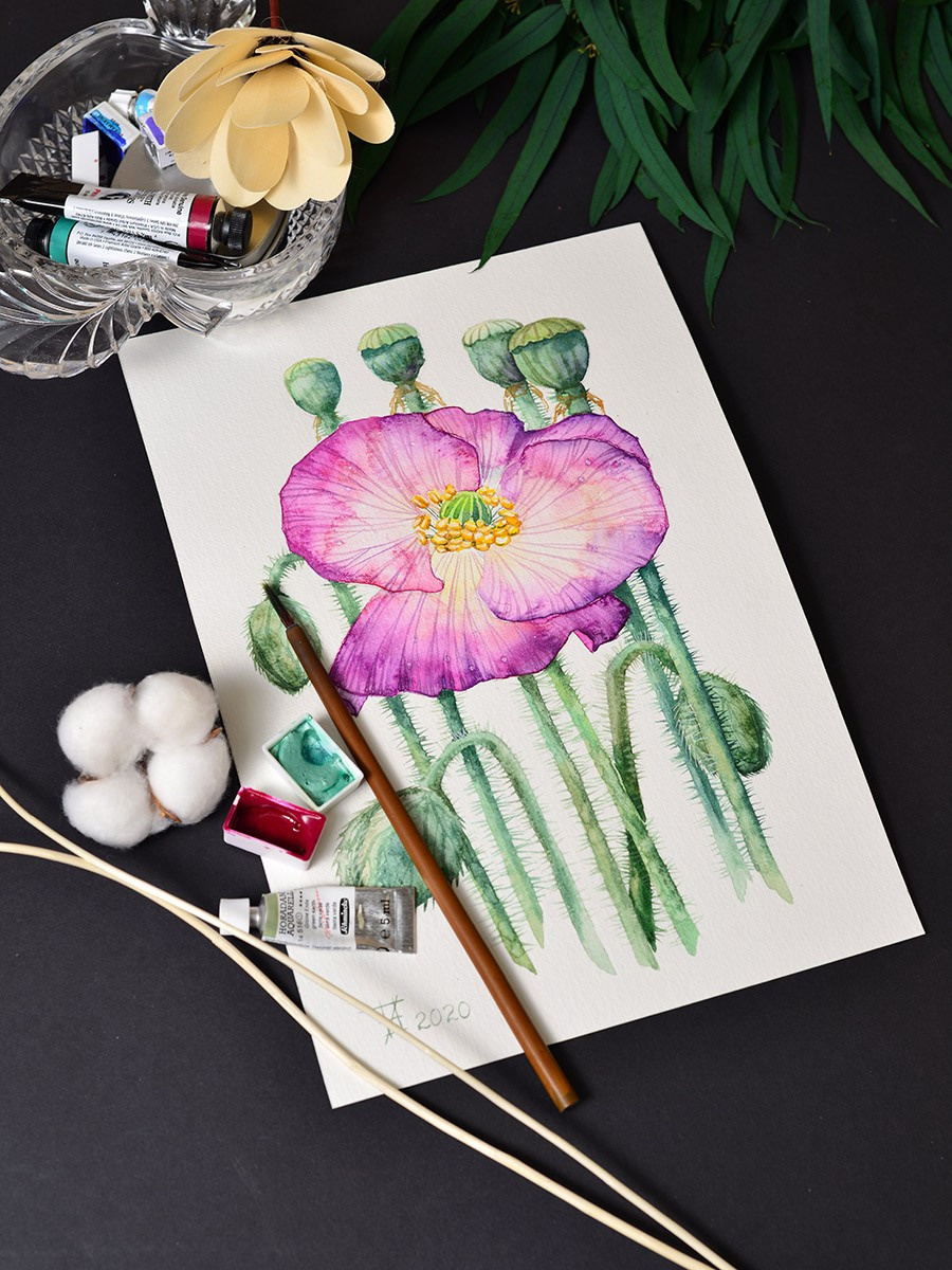 Фиолетовый мак. ФотоКисточка. Акварель. Арт-галерея картин Анастасии Дерий